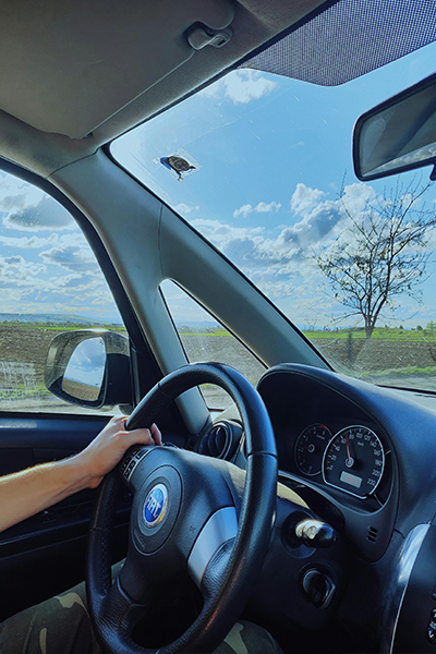 personal monthly driver service